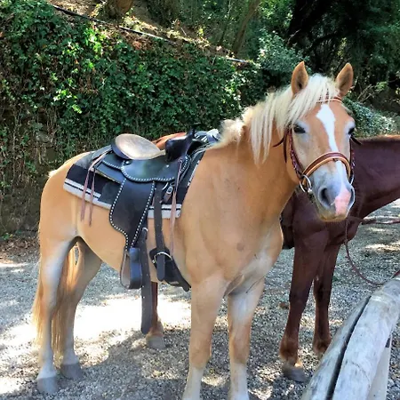 Musolino - Country Farm stay Messina