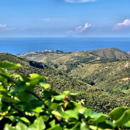 Musolino - Country Farm stay *