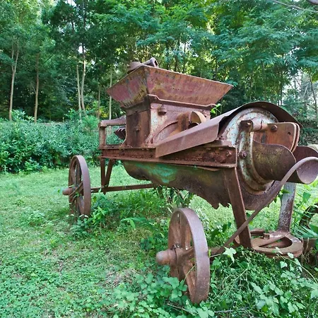 Farm stay Musolino - Country