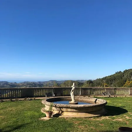 Musolino - Country