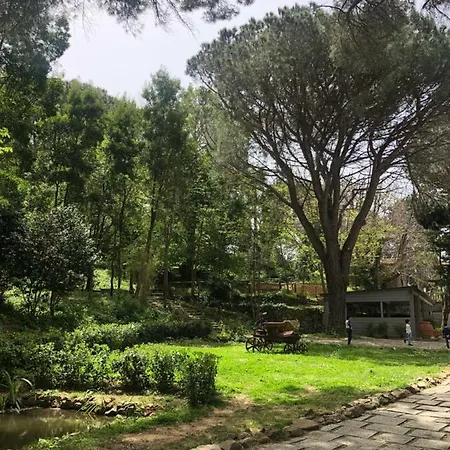 Musolino - Country Farm stay Messina