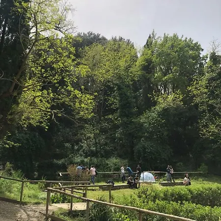 Musolino - Country Farm stay *