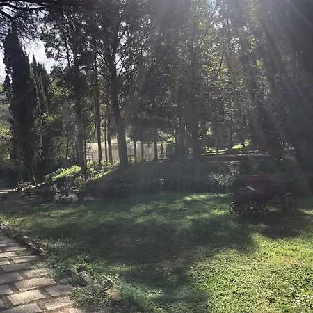 Musolino - Country * Messina