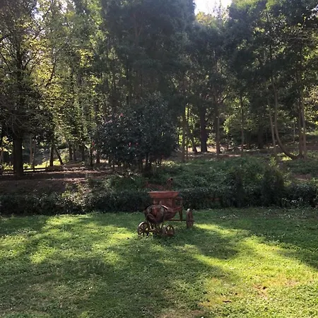 Farm stay Musolino - Country *